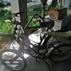 Schwinn girls stingray.