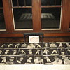 C.1936 CHICAGO CUBS PICTURE PACK 