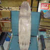 skate board 