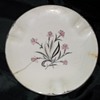 A Planter Plate,... but 'Not'