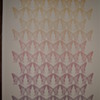 Multiple Butterflies