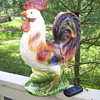 ROOSTER 