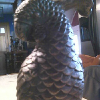 Bronze? Parrot