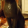 Wood Cat from thrift store today!