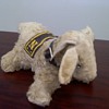 Navy Goat