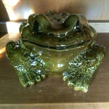 Arnels Bullfrog - Animals