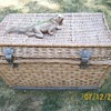 Vintage Wicker Trunk . Age unknown and something for Mikie 