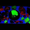 More Franklin Fluorescent Minerals
