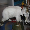 Schleich Warrior Elephant