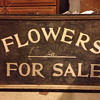 Flowers for Sale