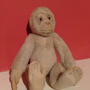 A lovely little monkey. How old is he??