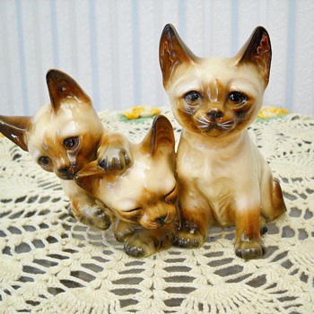 A couple cool cats