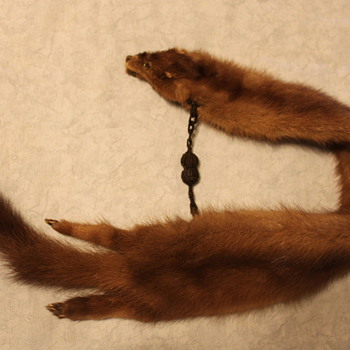 Mink? collar - Accessories