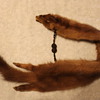 Mink? collar