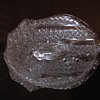 US Shield Glass Dish