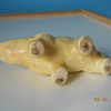 My tiny elephant planter mystery