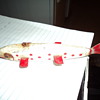 old decoy lure 