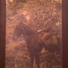 WWI RPPC US Army Officer on horse back, Id'ed as Co. "B" 112 Engineers 37th Division