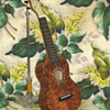 2 uke's