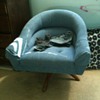 Mystery Chair!!!  Pearsall Kagan??? 