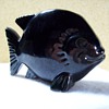 Frankoma - 185 - Fish Flower Holder.