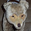 Steiff Bear