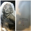 My Marilyn Photo 