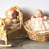 Babies in baskets!