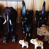 12 Elephants and 2 water buffalo!  From Garage sale, Why did I buy these? Maybe I need Help!