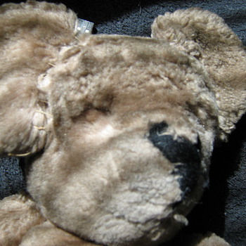 Old Koala Bear - Dolls