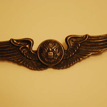 I've had these wings since I was a kid - my father gave them to me.