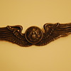 I've had these wings since I was a kid - my father gave them to me.