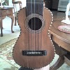 ukulele or mandolin ?