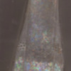 Antique Bitters Bottle