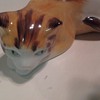 Great britain Cat