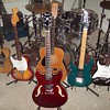 My Left Handed Guitar Collection