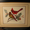 Pimpernel Acrylic Place Mats