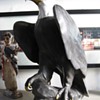 Magnificent Porcelain American Bald Eagle