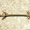 Antique Barbed Wire 