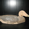 Paper mache?  Duck decoy
