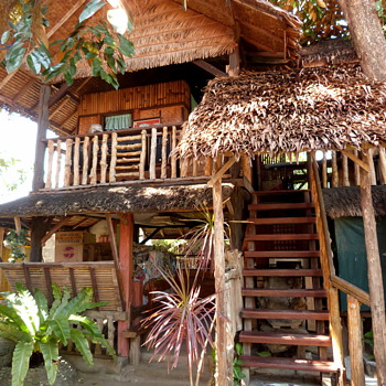 tree house - Photographs