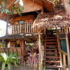 tree house
