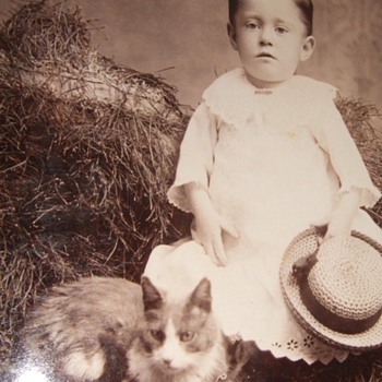 Cabinet card of boy in dress with a cat 