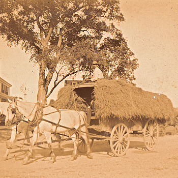 Vintage photos from Boston and North Coast of Ma.1890s - Photographs