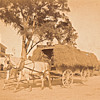 Vintage photos from Boston and North Coast of Ma.1890s