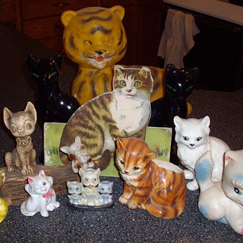 Latest feline finds:)