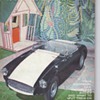 CAR MAGS 59