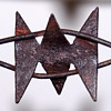rare barbed wire
