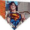 Superman Pop Art by Steve Kaufman