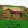 Man O War Folio